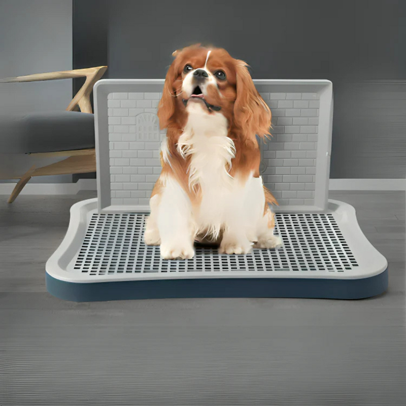 Puppy Indoor Potty Pad