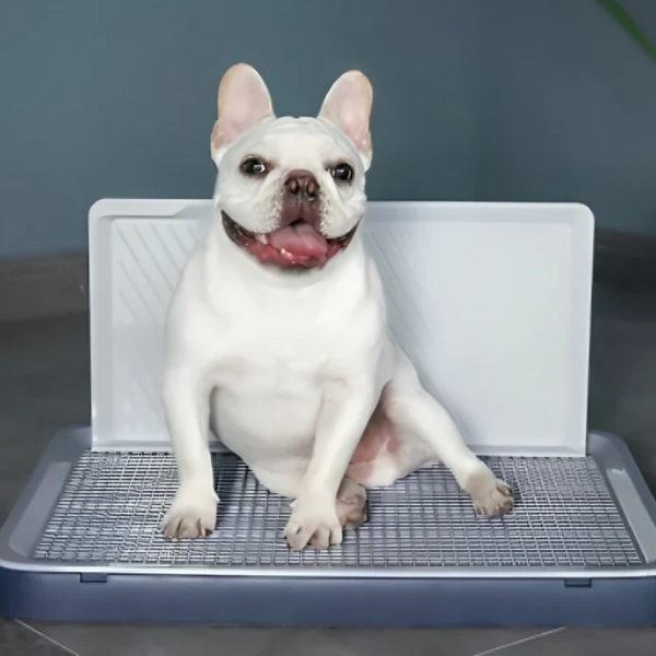 Puppy Indoor Potty Pad